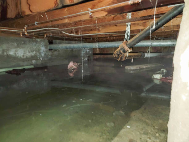 Best Basement water damage restoration  in Del Monte Forest, CA
