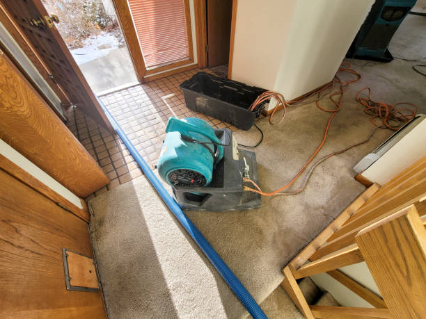 Best Mold removal after water damage  in Del Monte Forest, CA