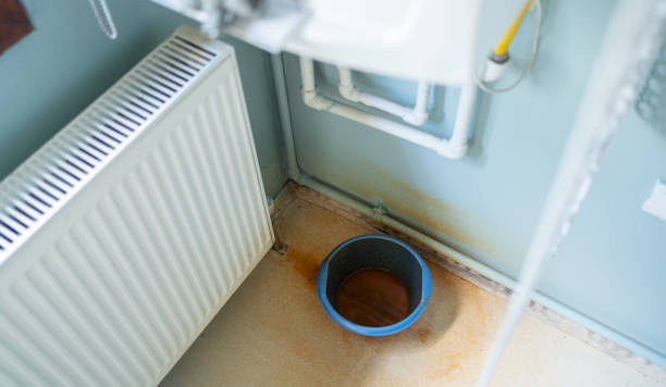 Best Water damage cleanup near me  in Del Monte Forest, CA